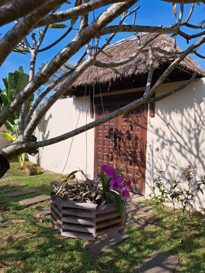 Laura Guest House-Adult Only- Hua Thanon (Koh Samui) Exterior foto