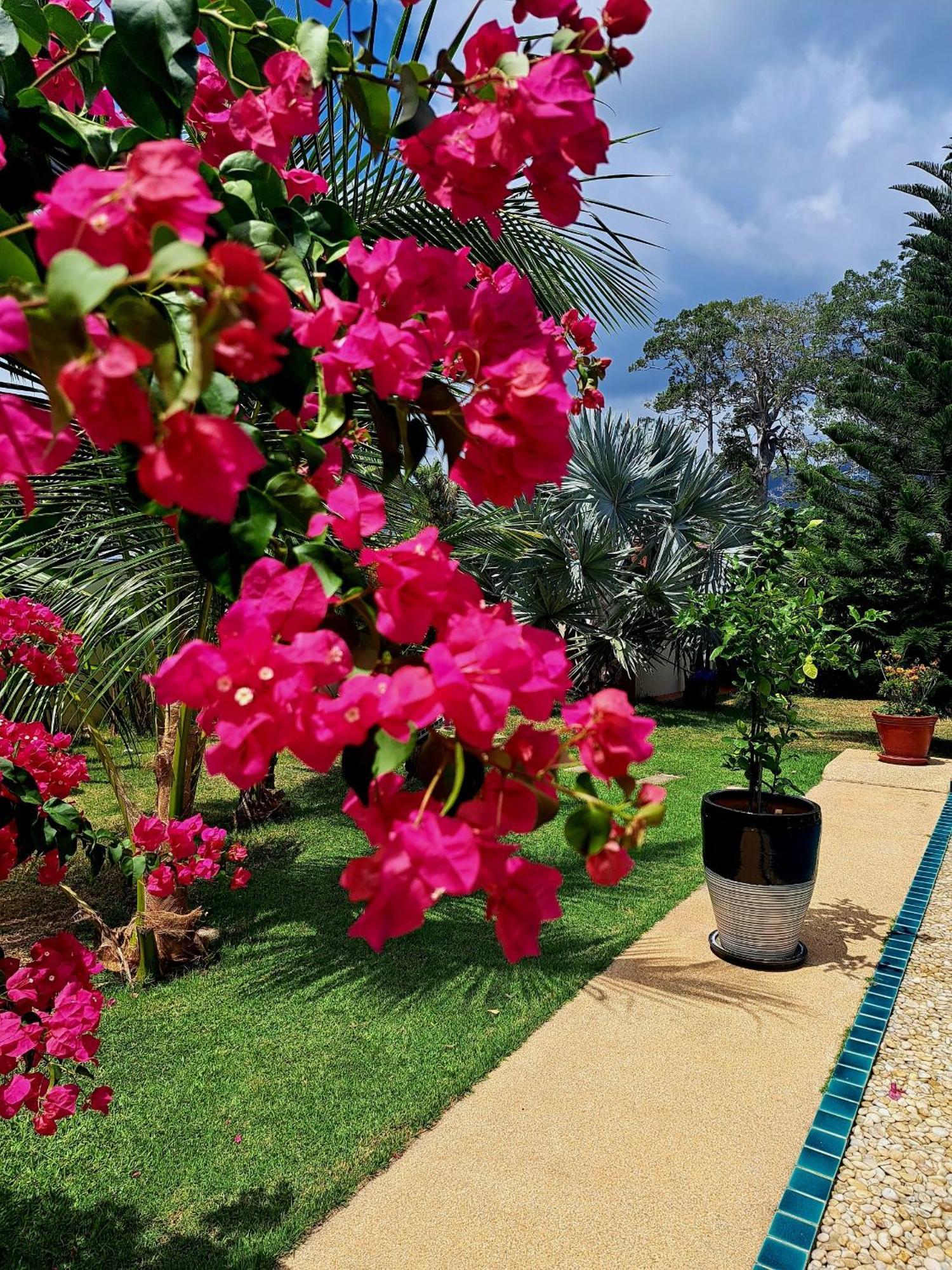 Laura Guest House-Adult Only- Hua Thanon (Koh Samui) Exterior foto